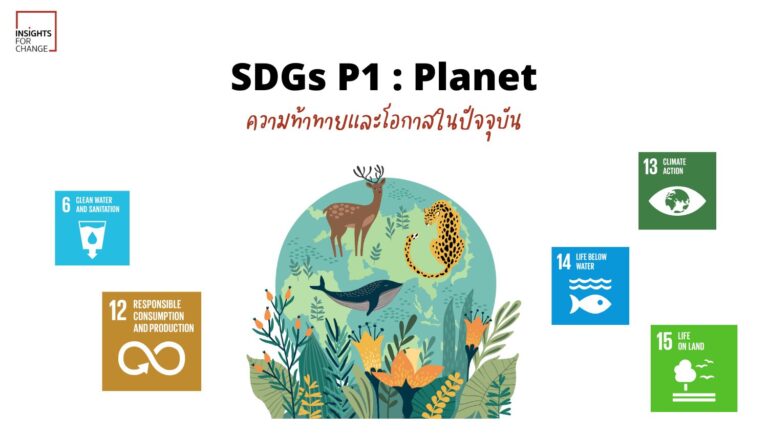 sustainable development goals